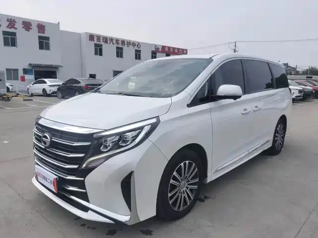 Trumpchi M8 Elegance Series, 390T, Максимум