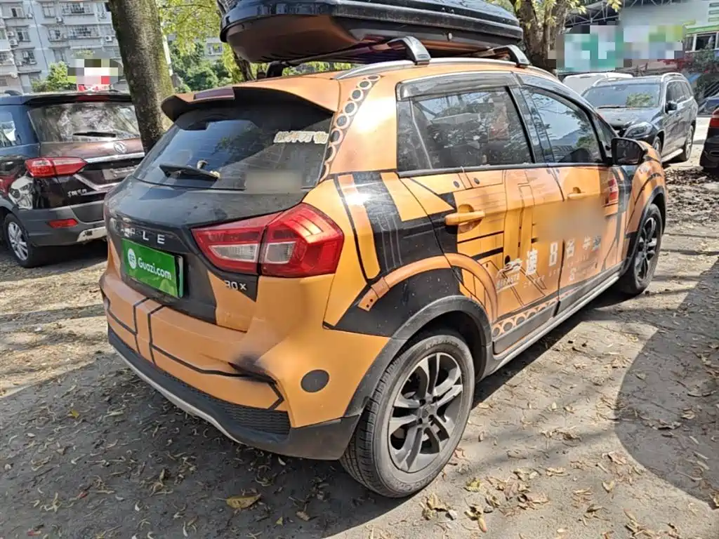 RUILAN AUTOMOBILE MAPLE LEAF 30X