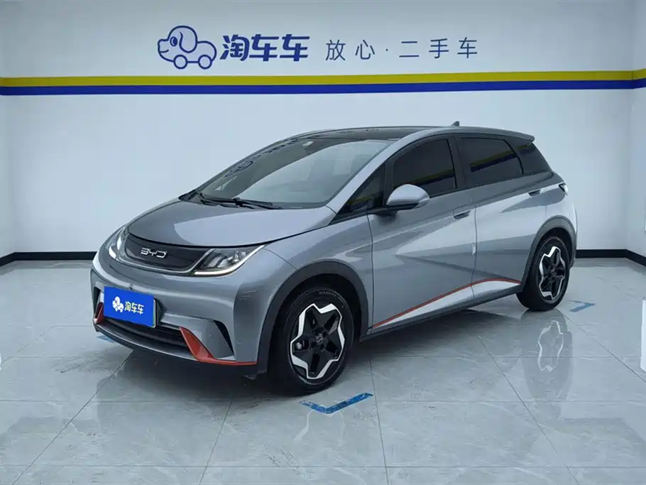 BYD Dolphin 2021 Model 405km Fashion Edition