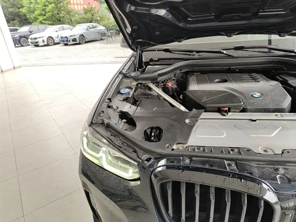 BMW X3 2022 xDrive30i Leading M Night Package фото 24