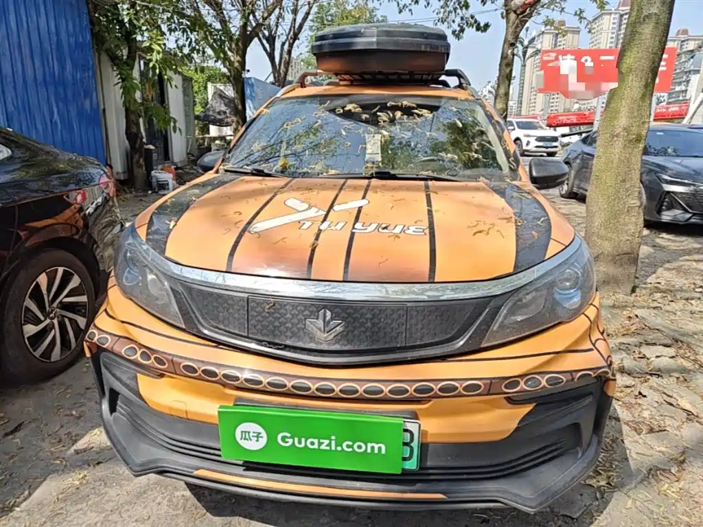 RUILAN AUTOMOBILE MAPLE LEAF 30X