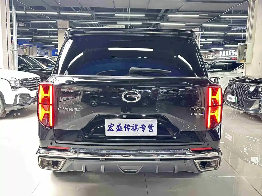 GAC Trumpchi Trumpchi GS8 2022 Dual Engine Series 2.0TM 2WD Premium Edition (7-Seater) фото 35
