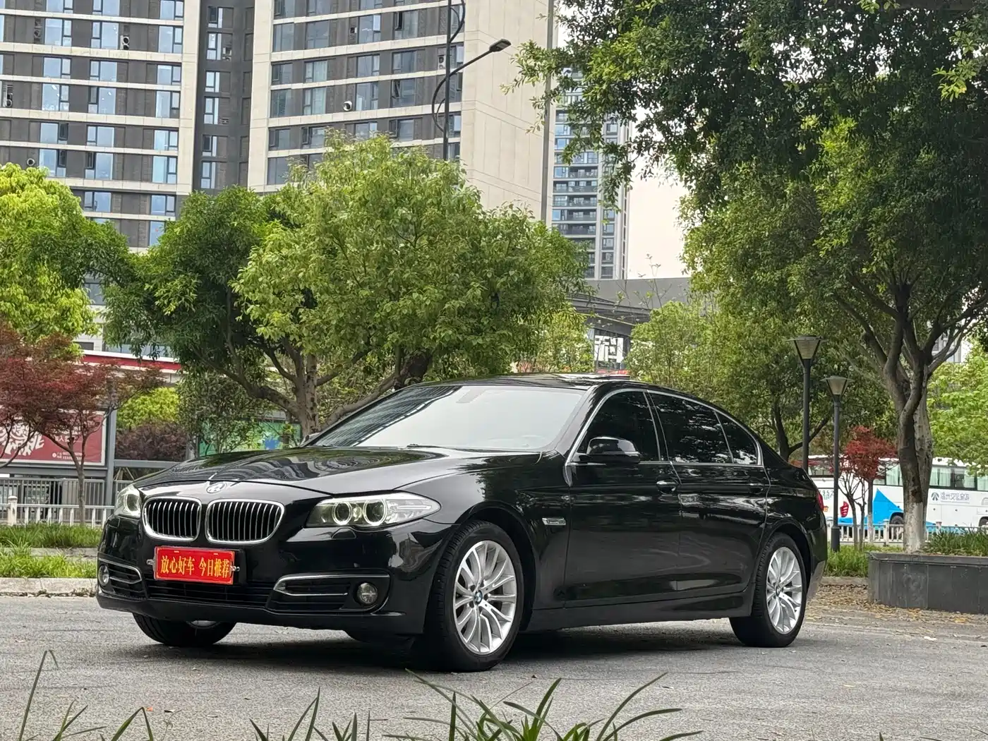 BMW 5 Series 2017 525Li Luxury Design Package