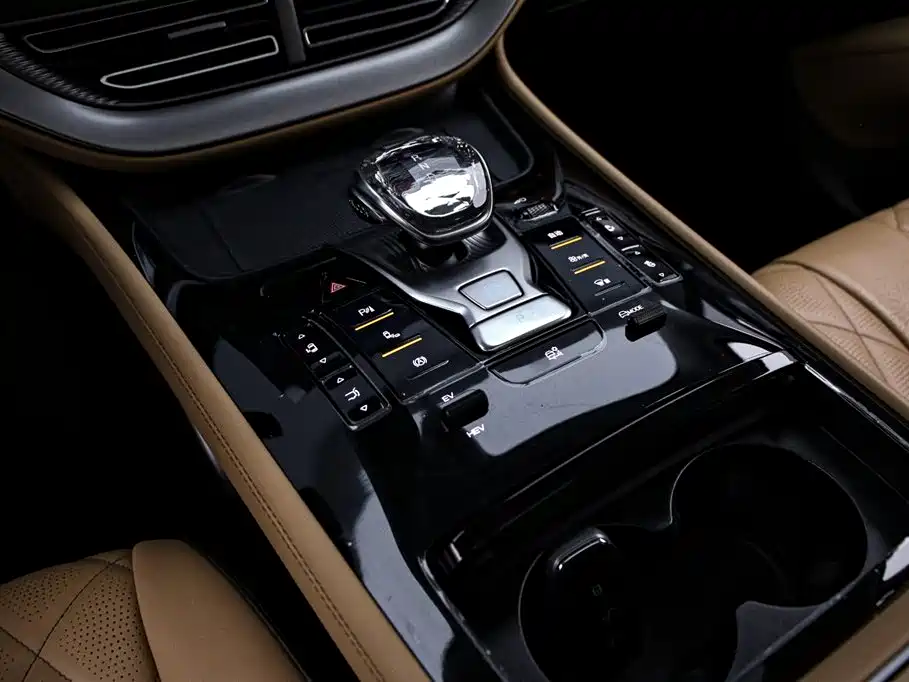 Denza D9 2024 DM-i 980 AWD Premium фото 9