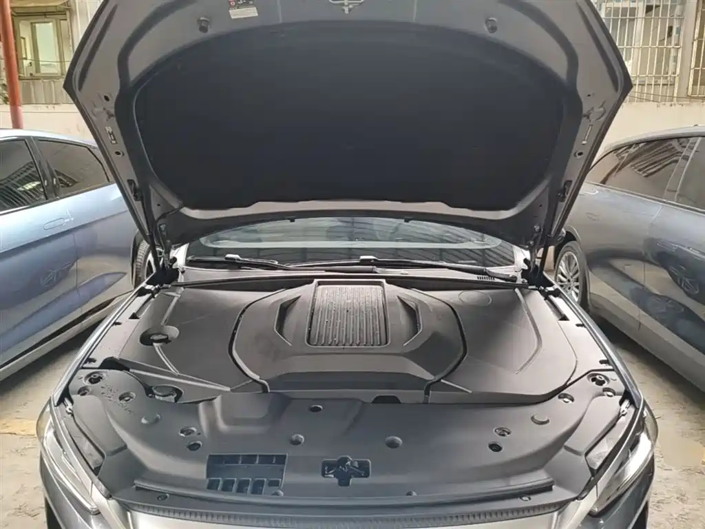 BYD Qin PLUS 2024 Glory Edition EV 420KM Surpass фото 20