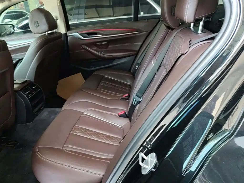 BMW 5 Series 2020 530Li Leading Luxury Package фото 17