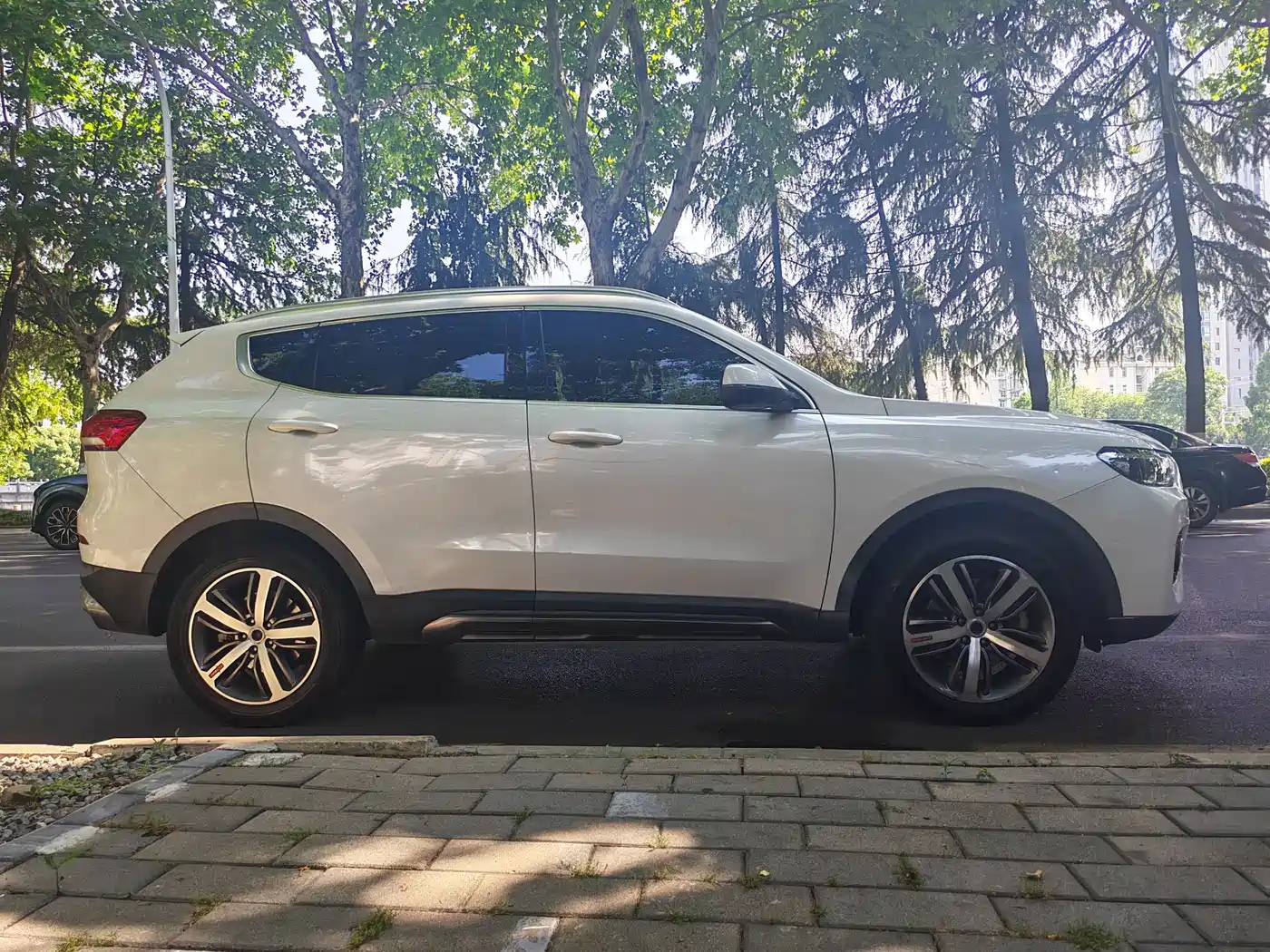 Haval H6 2017 Red Label 2.0T Auto 2WD Smart фото 17