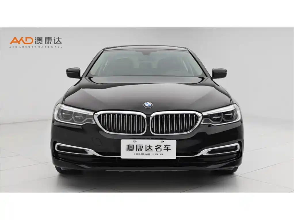 BMW 5 Series 2020 530Li Premium Luxury Package фото 2