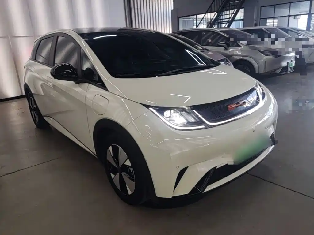 Фото 4 - BYD Dolphin