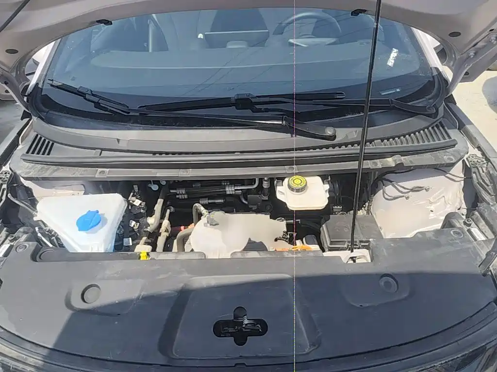 BYD Dolphin 2025 2025 Smart Drive Edition 520km Knight Version