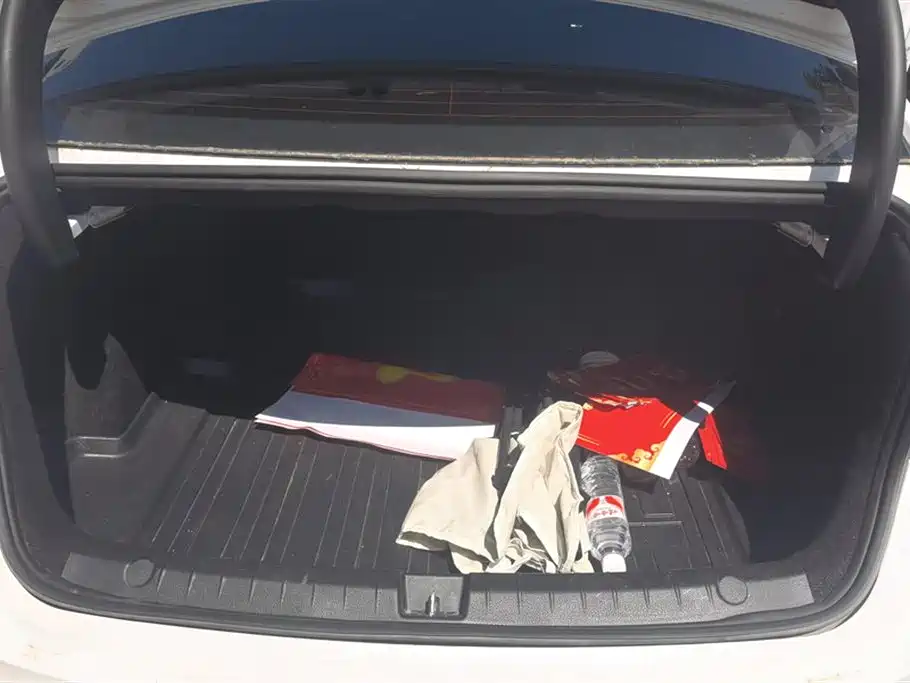 BYD Qin PLUS 2021 EV 500KM Premium Model фото 4