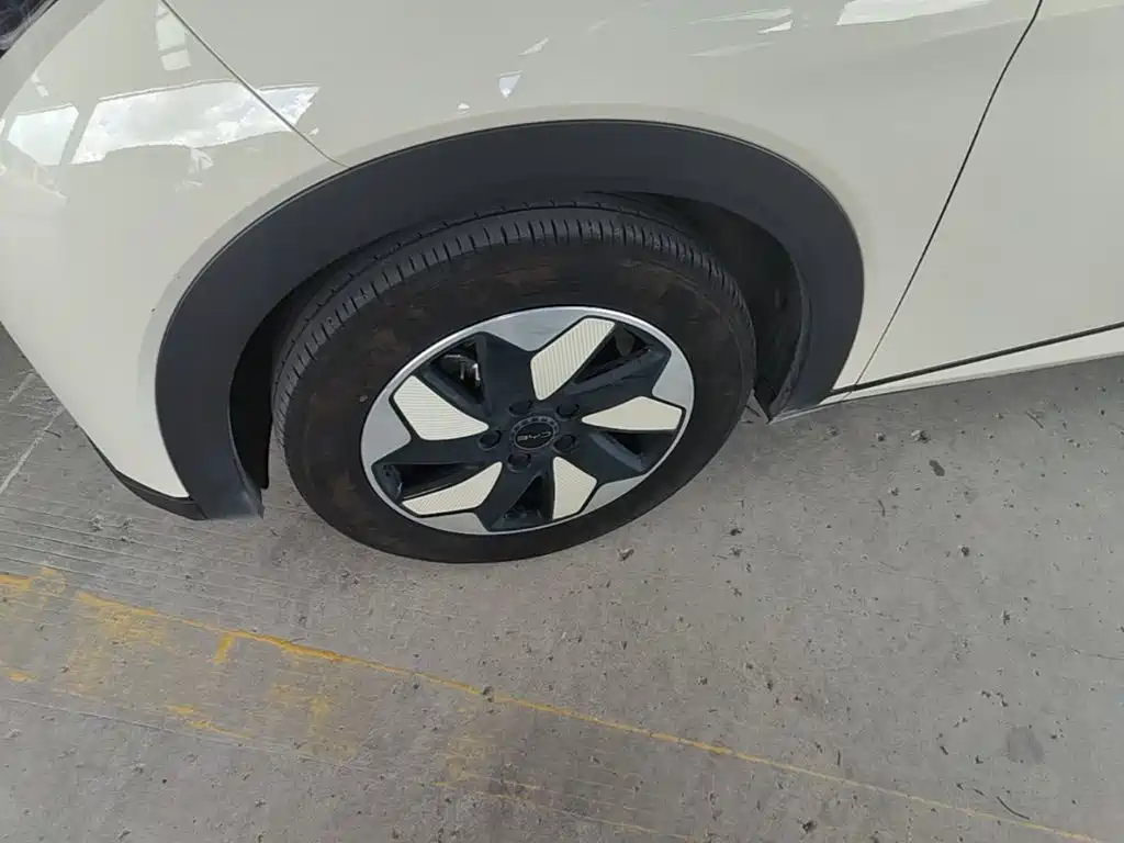 BYD Dolphin 2025 2025 420km Freedom Edition