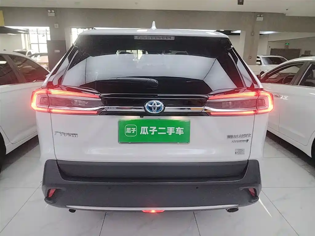 Toyota Wildlander 2020 Dual Engine 2.5L E-CVT FWD Luxury фото 6