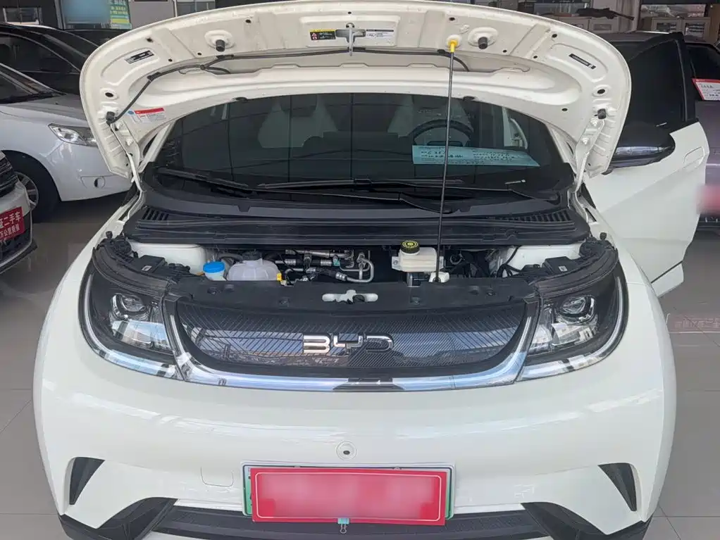 BYD Dolphin 2025 2025 420km Freedom Edition