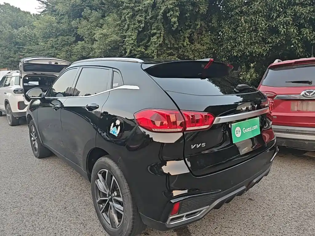2021 WEY VV5