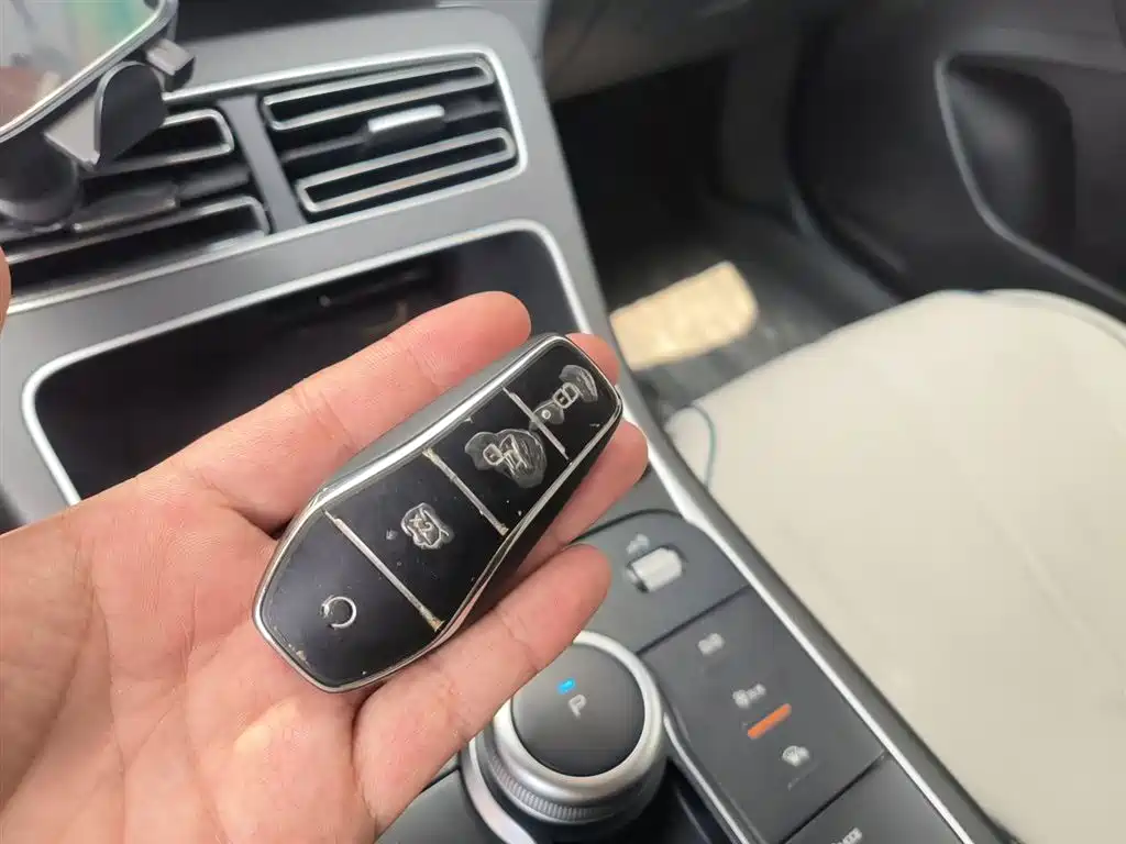 BYD Destroyer 05 2024 Glory Edition DM-i 55KM Luxury фото 12