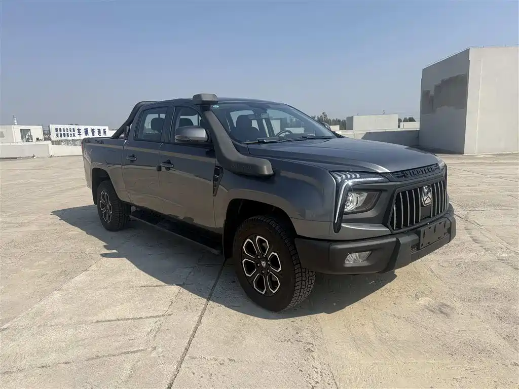 Sinotruk Bosheng 2026 2025 Pastoral 2.0T Automatic Diesel 4WD Long Wheelbase
