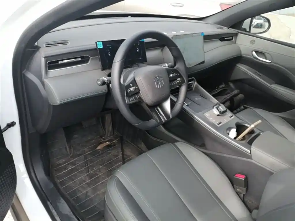BYD Qin PLUS 2025 DM-i Smart Drive 55KM Leader фото 10