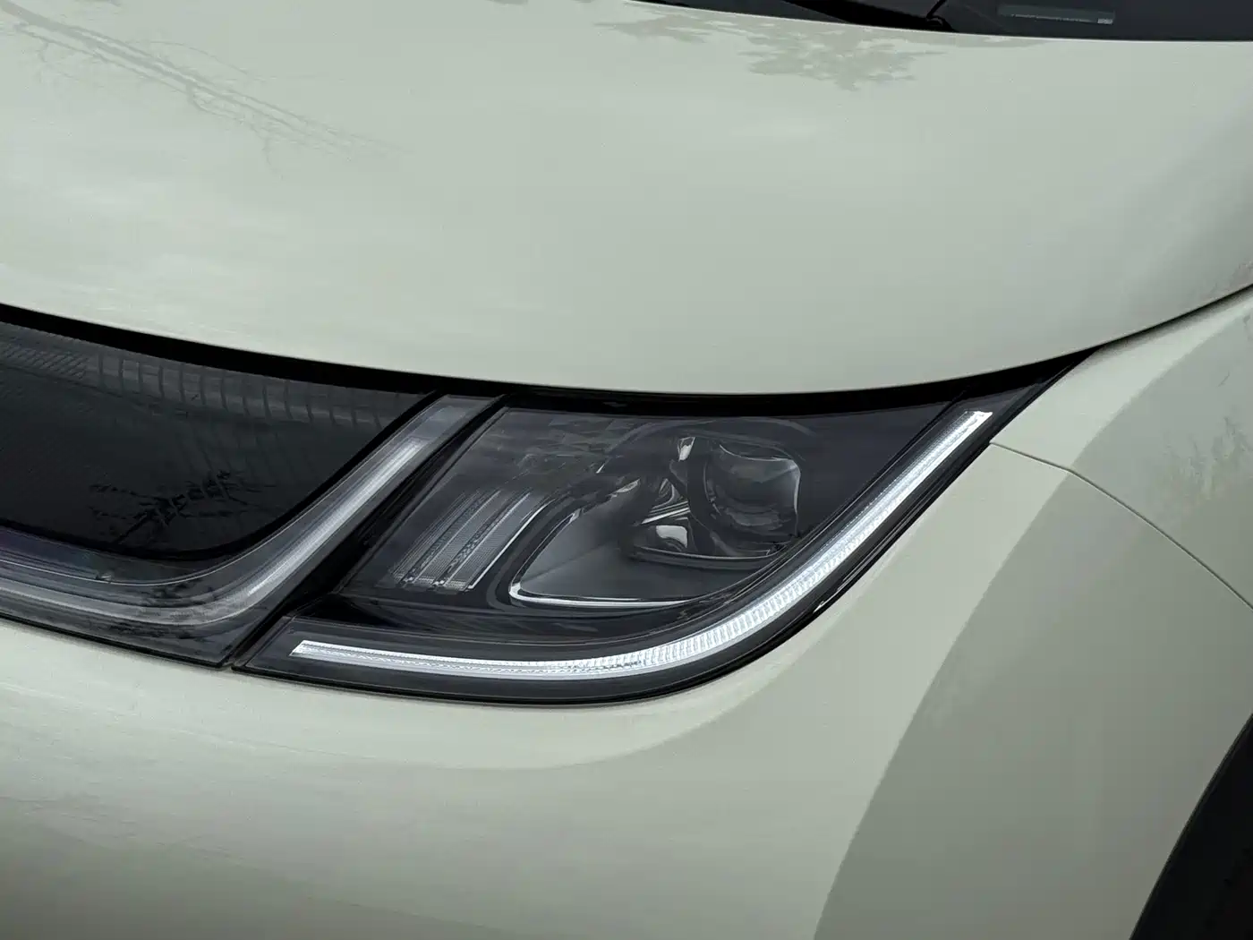 2026 BYD Dolphin