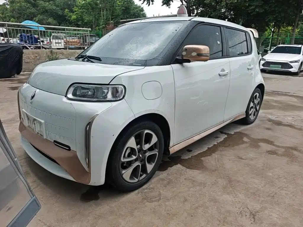 Ora White Cat 2020 360km Luxury Model