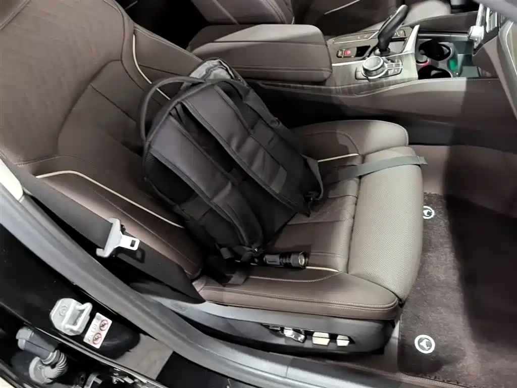 BMW 5 Series 2022 Facelift II 530Li Luxury Trim Premium Package фото 25