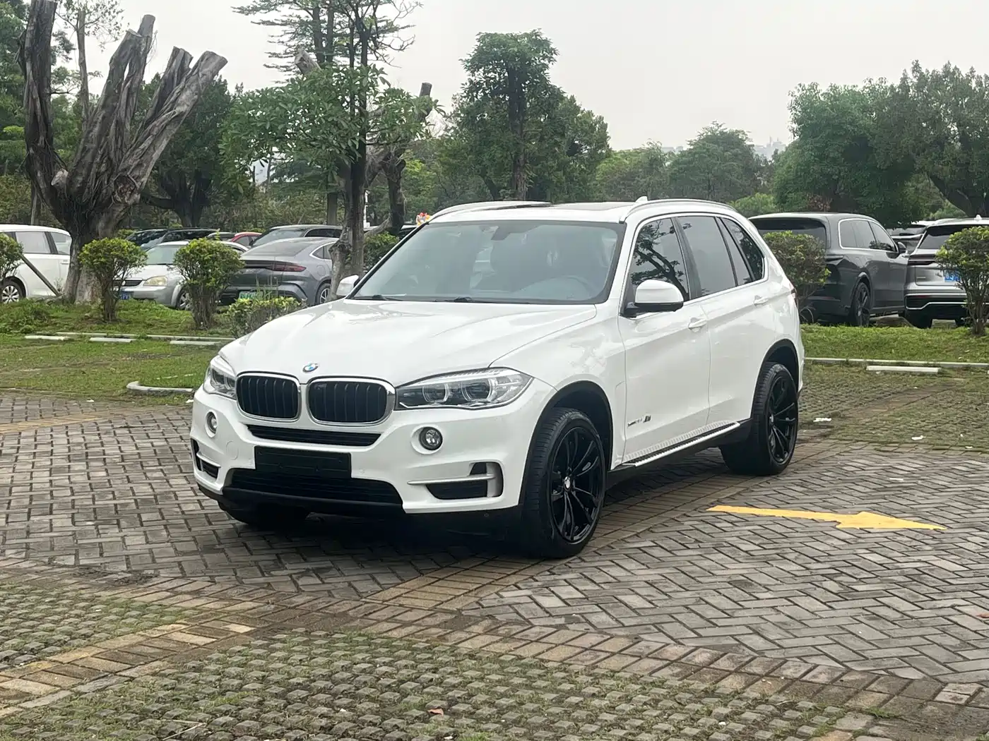 BMW X5 (Import) 2018 xDrive35i Elegant Model