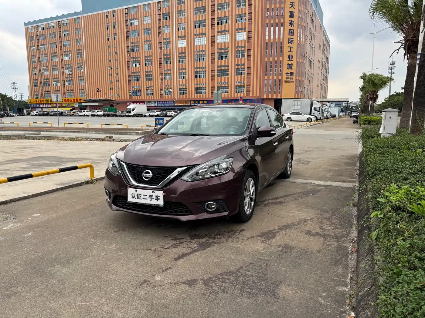 Фото 1 - Nissan Sylphy