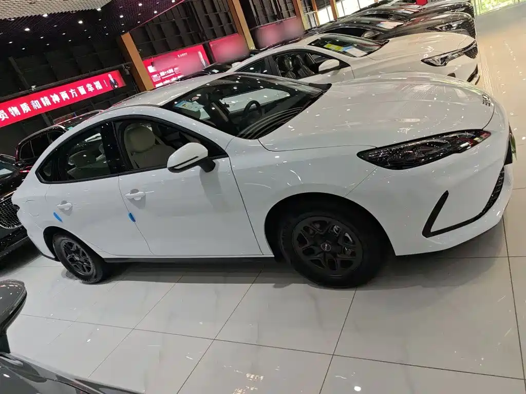 BYD Hai Bao 05 DM-i 2025 DM-i Smart Drive Edition 55KM Luxury фото 10