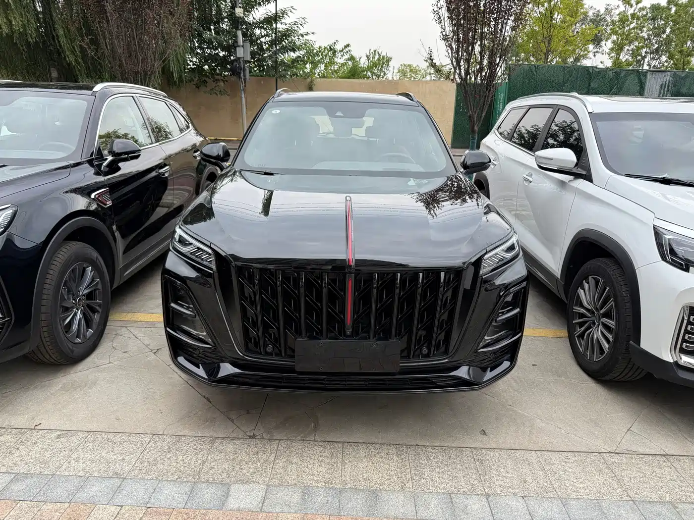 Фото 2 - Hongqi HS5