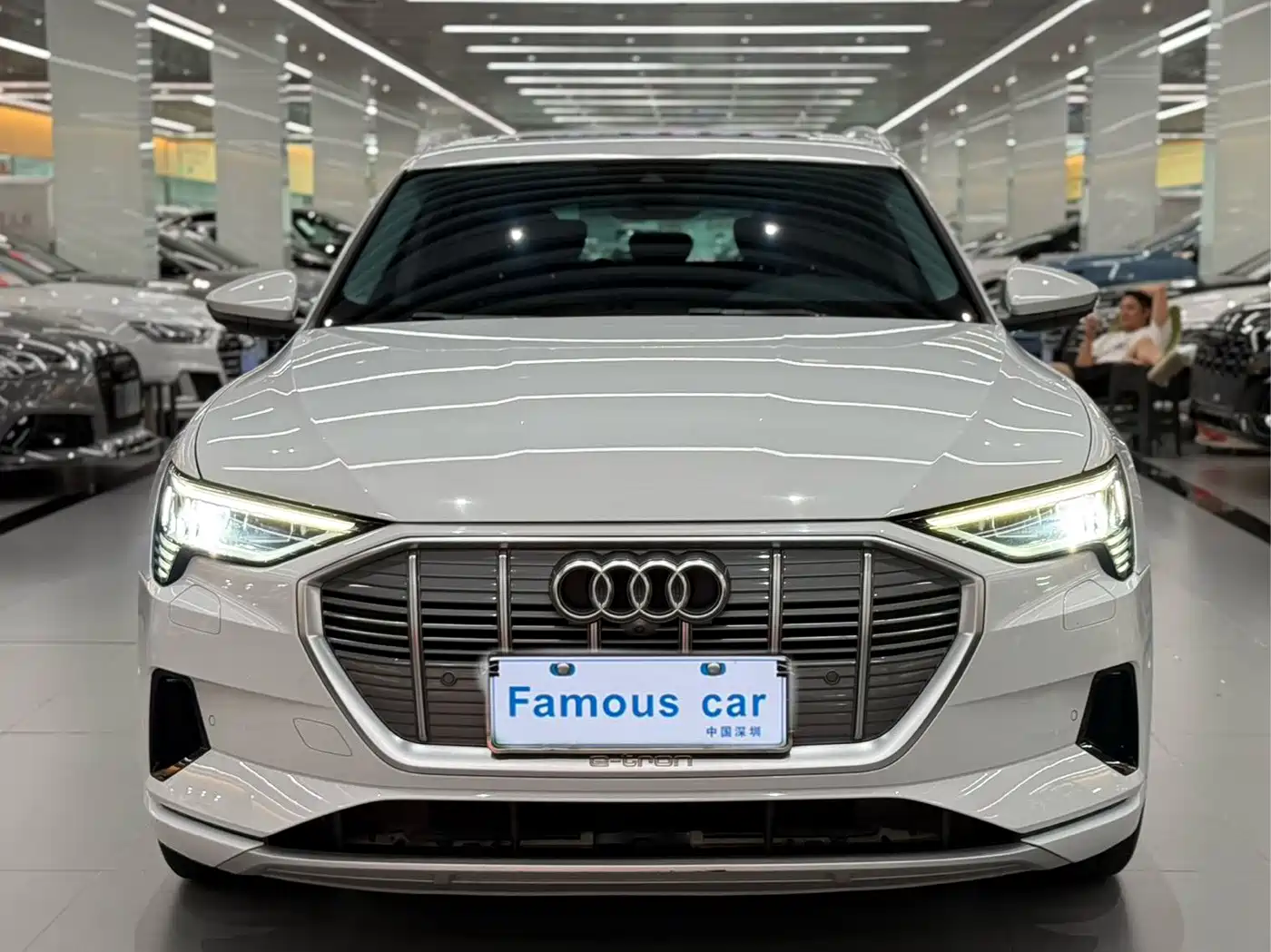 Audi e-tron (Import) 2021 2019 55 quattro Technology