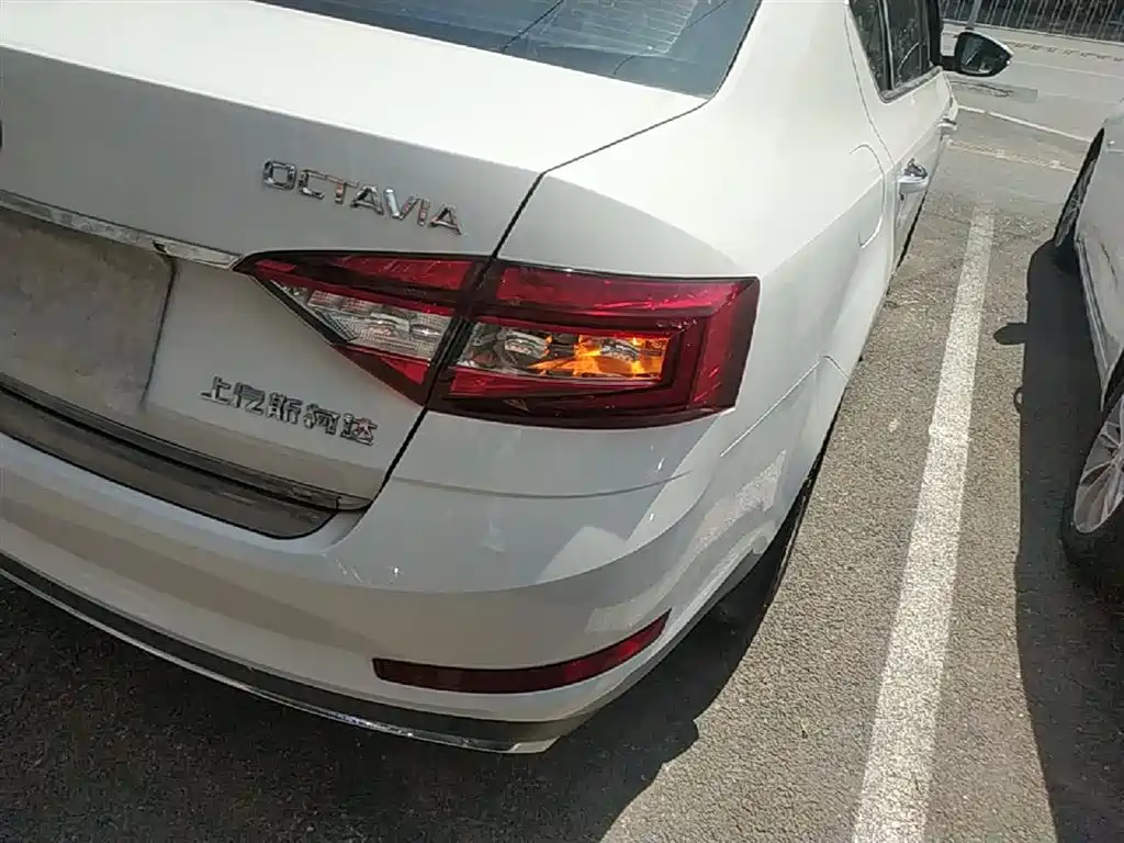 Škoda Octavia 2018 TSI230 DSG Luxury Edition фото 8
