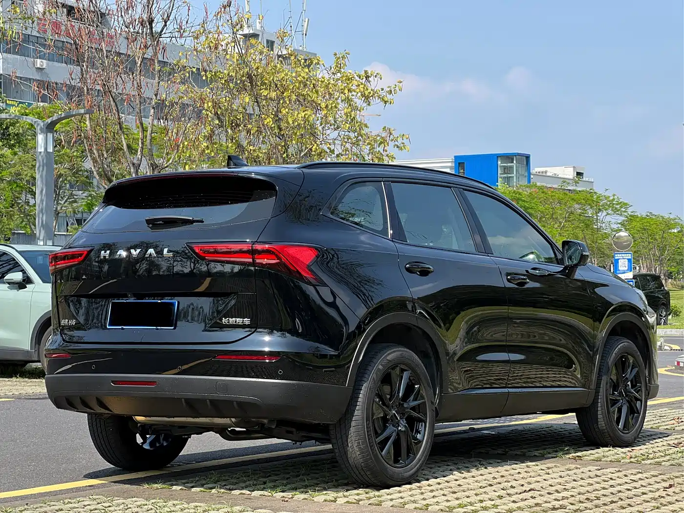 Haval H6 2024 1.5T 2WD Ultra фото 6