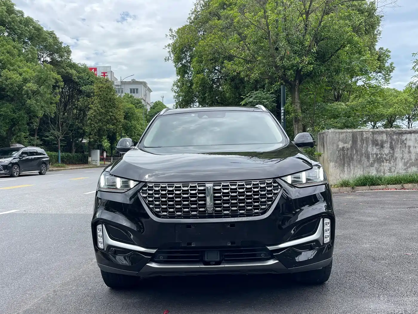 WEY VV6 2019 2020 2.0T 2WD Smart Protection+