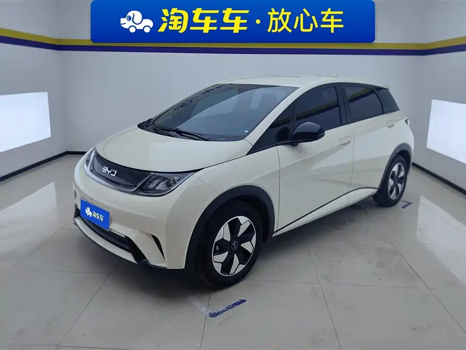 BYD Dolphin 2025 420km Freedom Edition