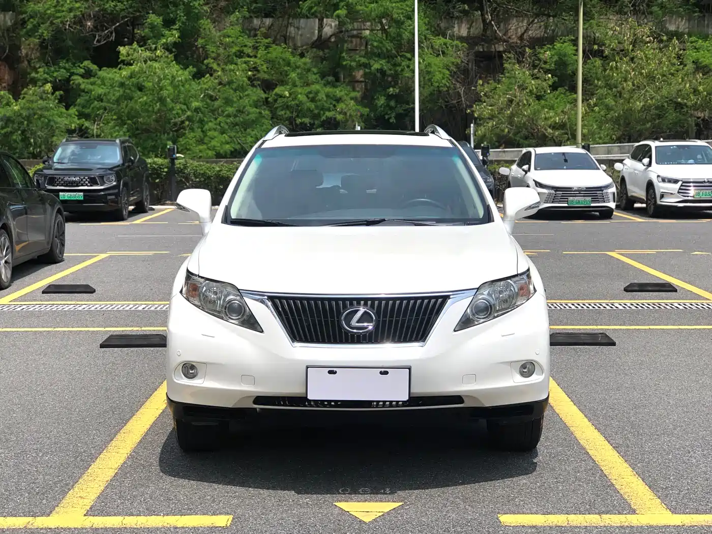 Lexus RX Classic 2011 270 Elegance фото 2