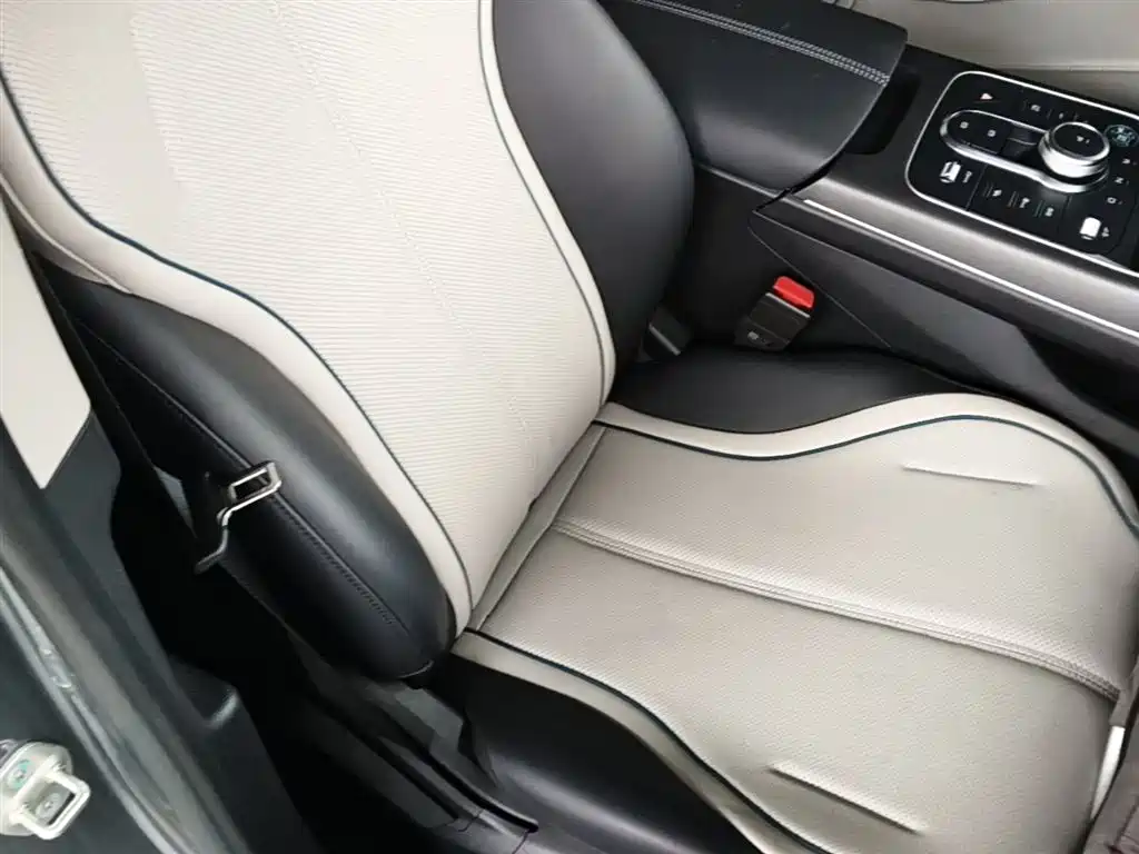 BYD Destroyer 05 2024 Glory Edition DM-i 55KM Luxury фото 25