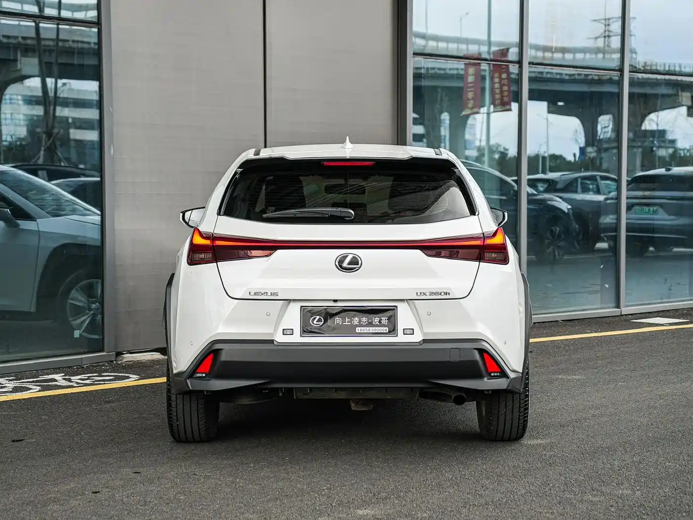 Lexus UX 2022 260h Cool Edition фото 5