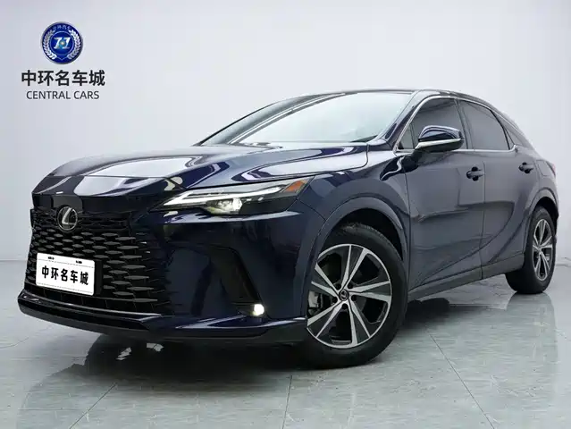 Lexus RX 2025 300 4WD Premium Edition — фото 1