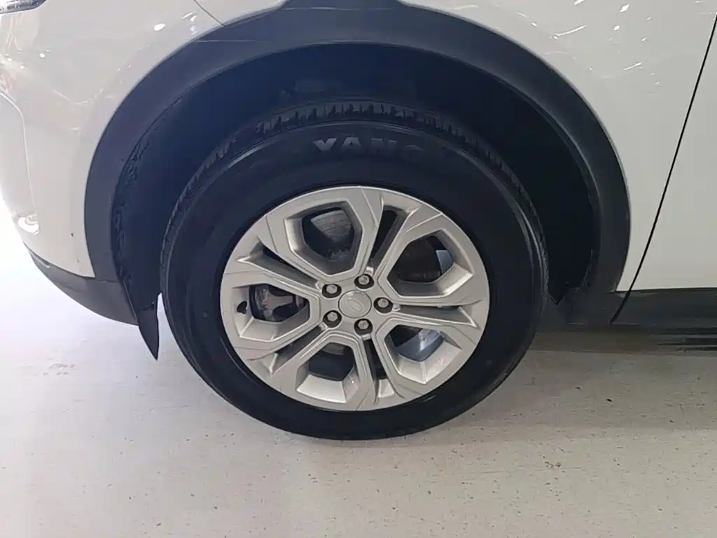 Фото 23 - Land Rover Discovery Sport