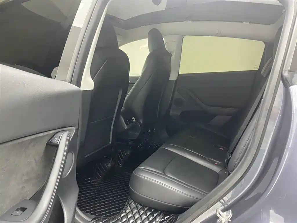 Tesla Model Y 2021 Standard Range Rear-Wheel Drive 24