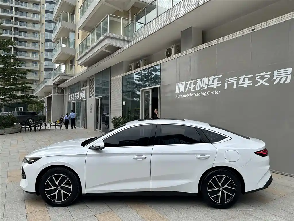 BYD Qin L 2024 DM-i 120KM Superior Edition фото 5