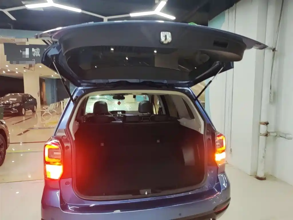 Subaru Forester 2018 2.5i Luxury Navigation Edition фото 19