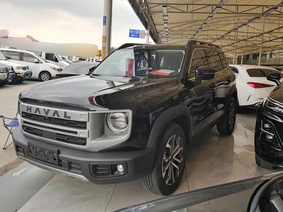 Haval Big Dog 2024 1.5T DCT Border Collie Edition