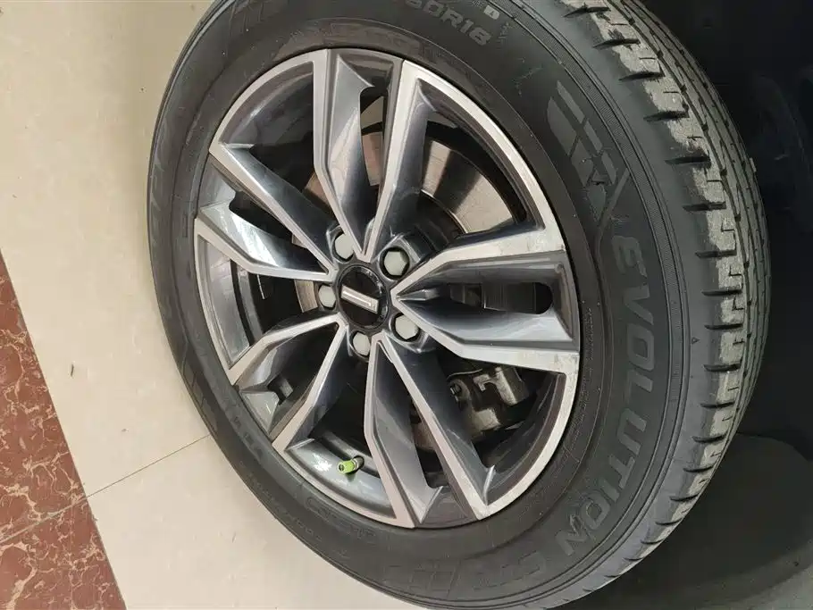 WEI PAI WEI BRAND VV5