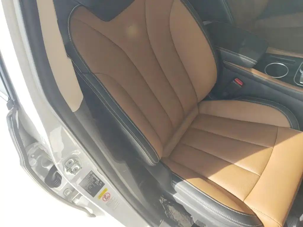 BYD Qin New Energy 2019 2018 Qin EV450 Smart Connected Premium Edition