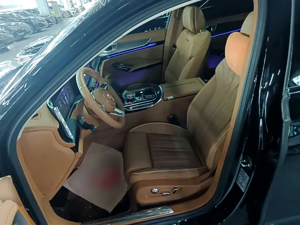 Hongqi H9 2025 2024 2.0T Qi Enjoy Private Fashion Edition