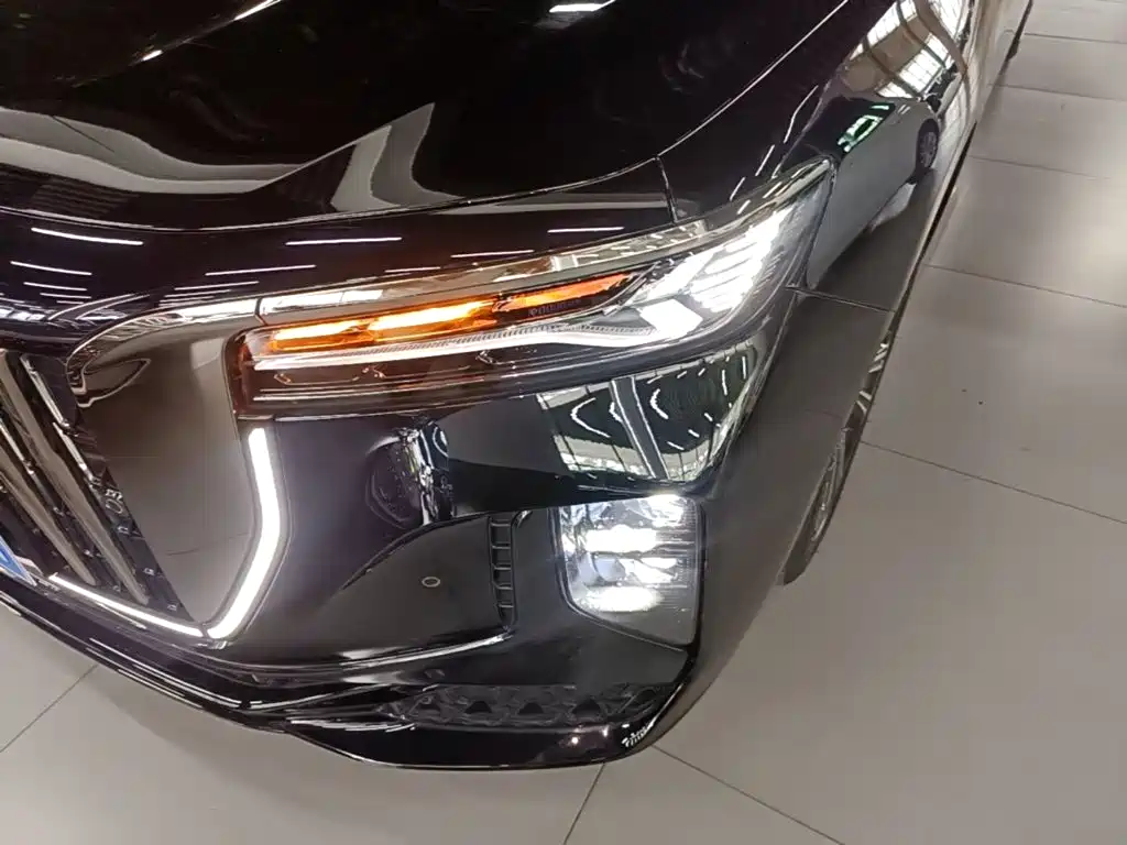 Hongqi H9 2025 2024 2.0T Qi Enjoy Private Fashion Edition