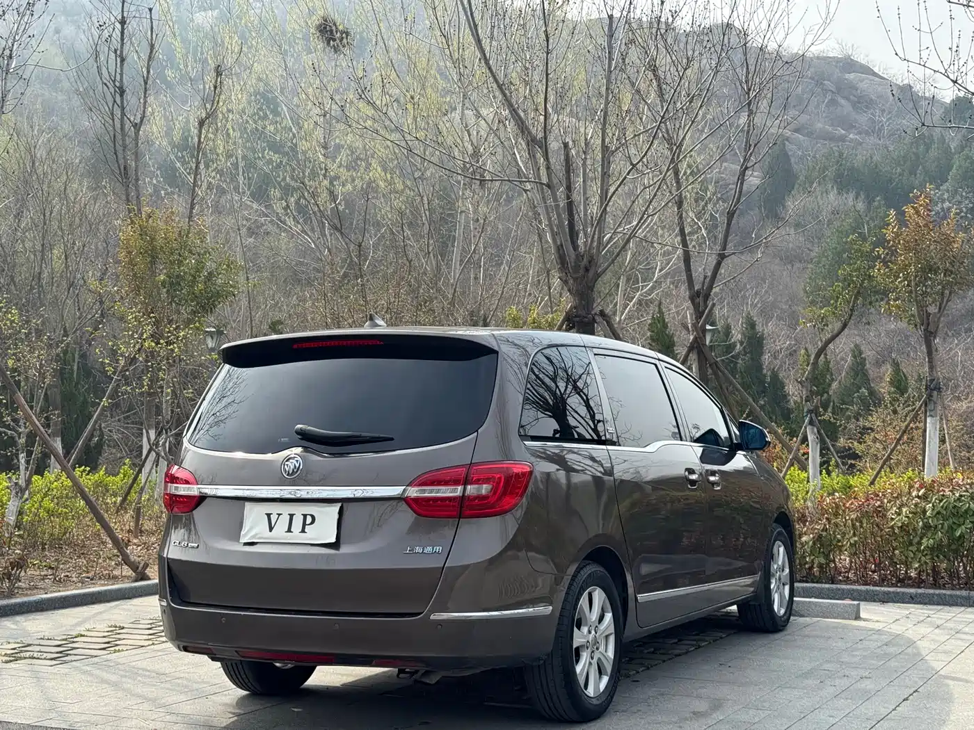 Buick GL8 2014 3.0L GT Luxury Business Elegance фото 10