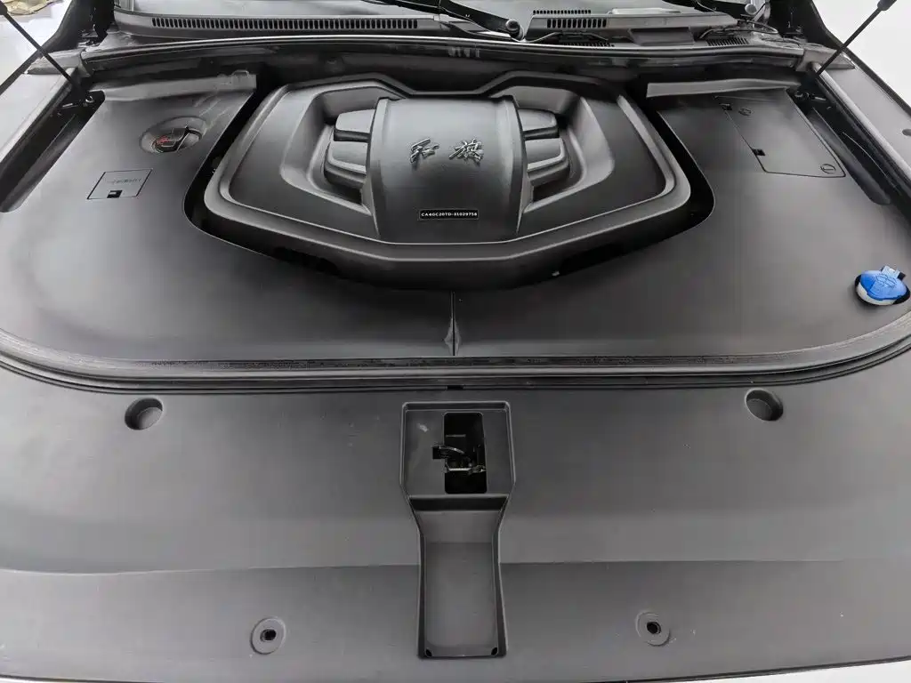 Фото 6 - Hongqi HS7