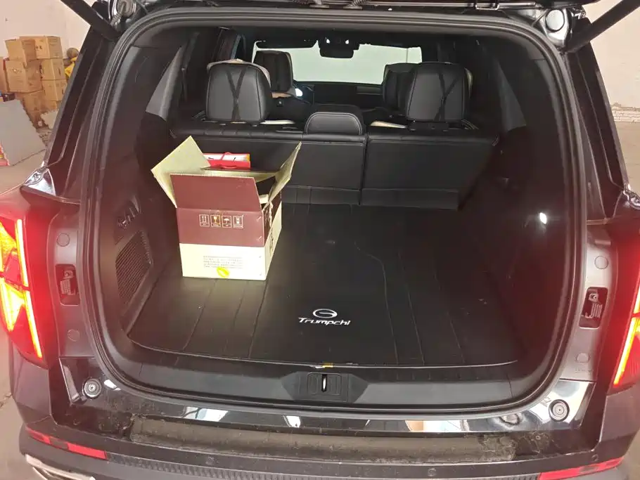 GAC Trumpchi Trumpchi GS8 2025 2025 Pilot Series 2.0TGDI 2WD Luxury Edition 5-seater